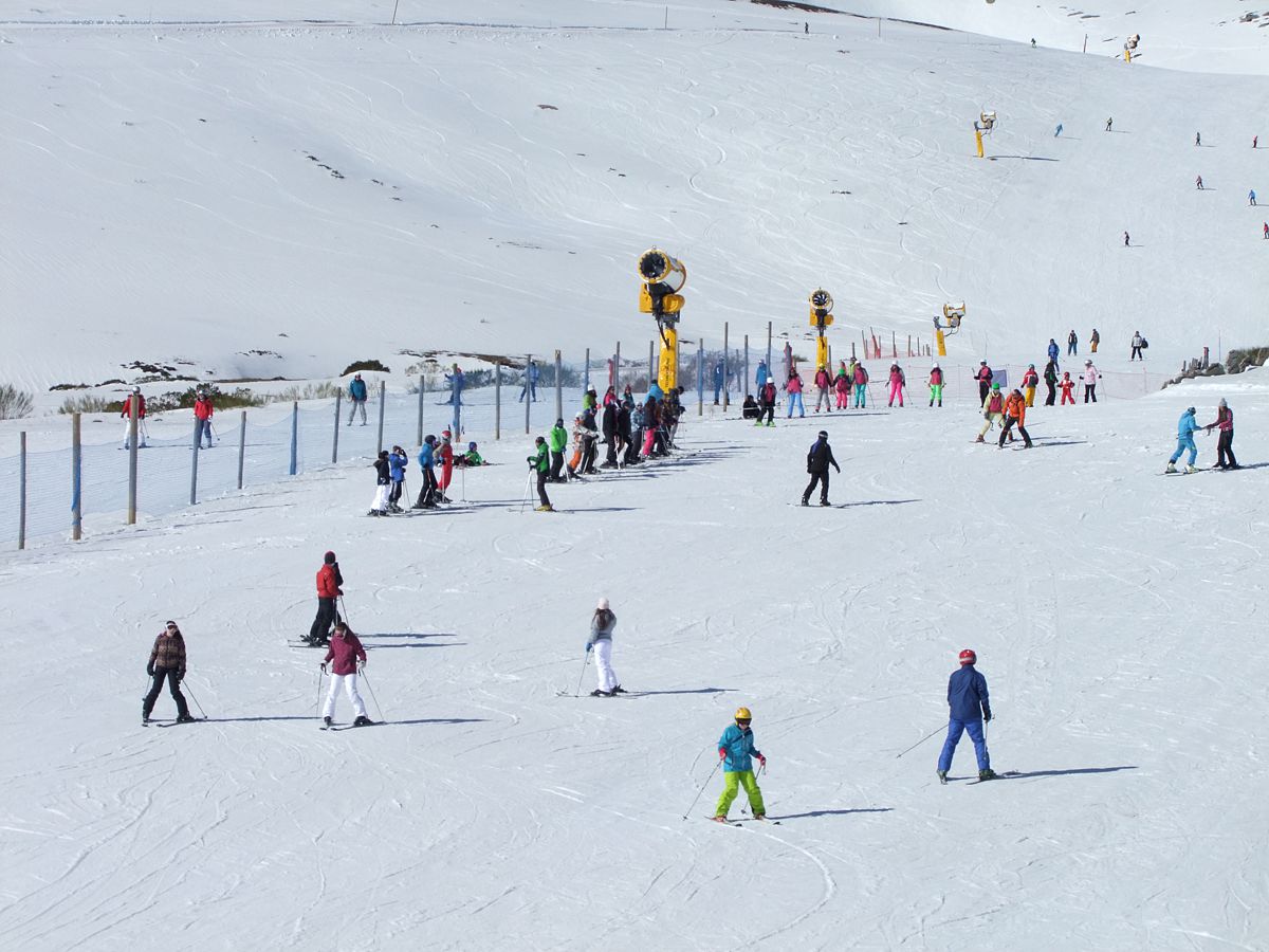 Alto Campoo