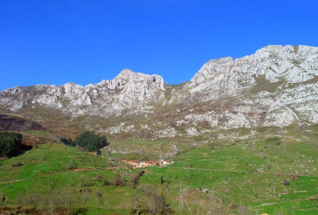 Burio en Camino Lebaniego