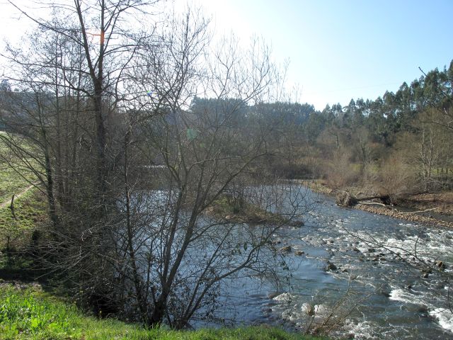 Río Nansa en Muñorrodero Cantabria