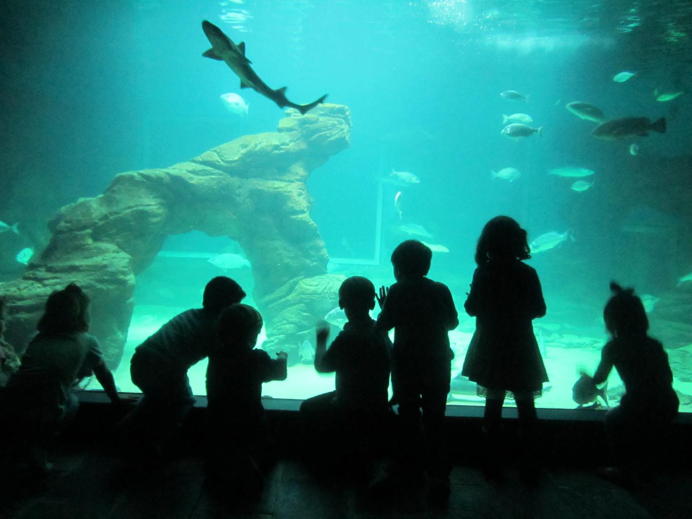 Museo Marítimo del Cantábrico