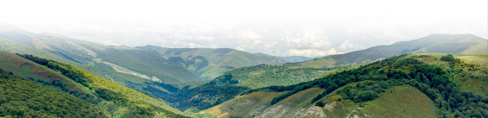 cantabria nature degradado 1