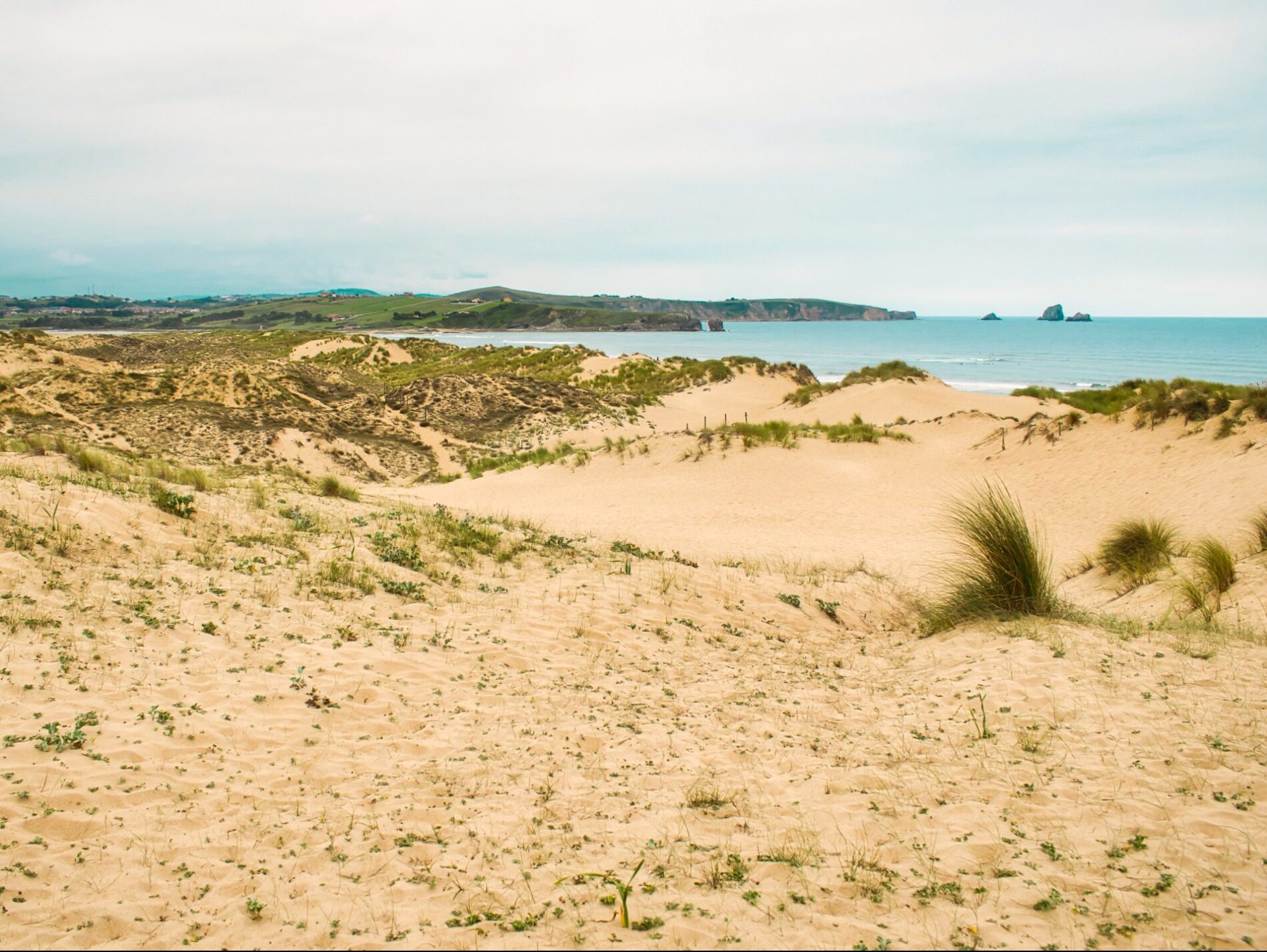 Parque Natural de las Dunas de Liencres