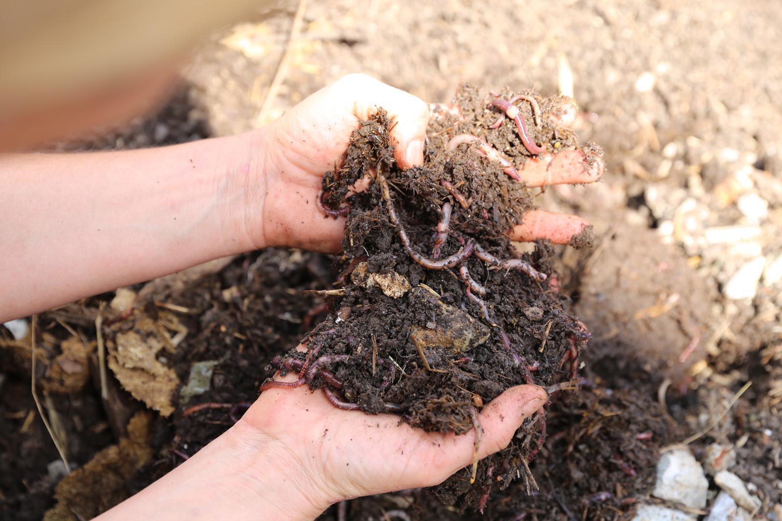 Visita los intestinos de la tierra