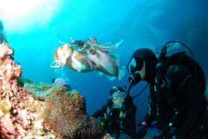 Bautismo de buceo