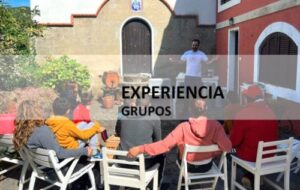 Experiencia Grupos haz queso y visita la granja