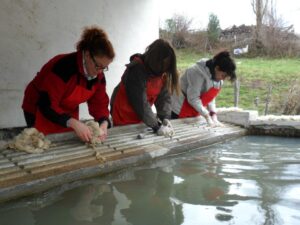 Taller de iniciación al proceso textil de la oveja a la madera