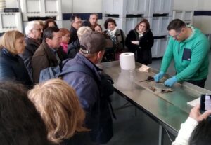 Santoña: Tradición conservera y marisma