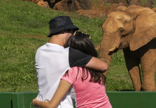 Parque de la Naturaleza de Cabárceno. Visita salvaje en pareja