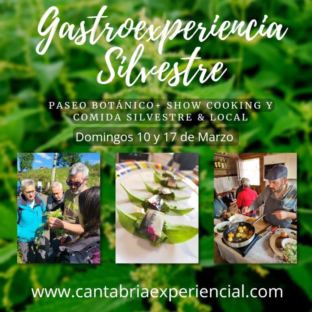 Gastro experiencia silvestre en Ibio