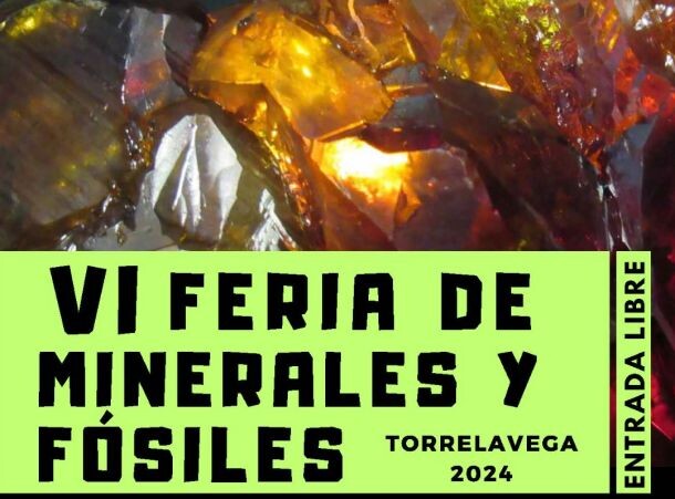 Feria de minerales y fósiles imagen