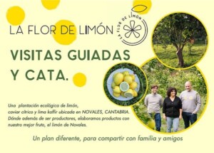 La flor de limón