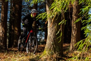 en-bici-a-comillas-secuoyas-cabezon